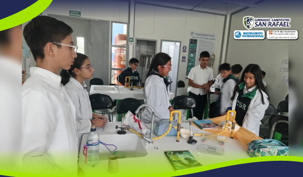 Laboratory on Types of Force (Experiments)