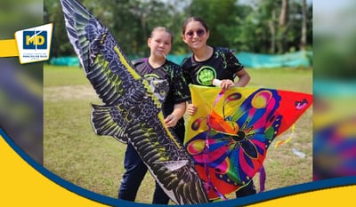 Festival de cometas
