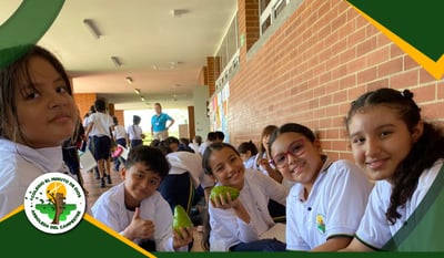 Proyecto educativo STEM