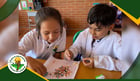 Actividad en laboratorio