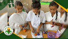 Actividad en el laboratorio