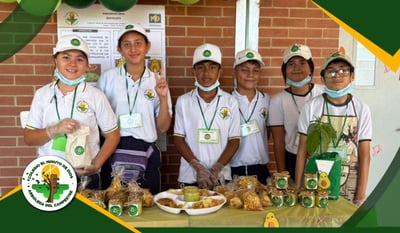 Enfoque Educativo STEM