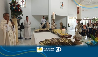 Promoción NOVUS 2025