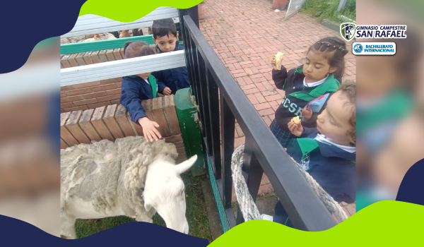 Compartiendo con los animalitos