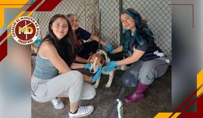Campaña CAS: “Dale tu mano a una pata