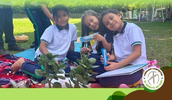 Picnic literario