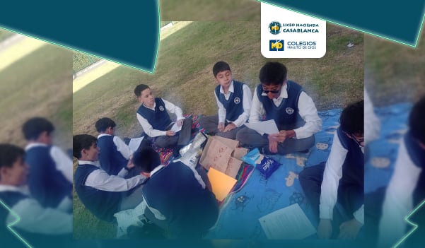 Picnic Literario