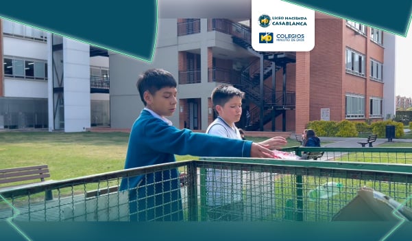 ¡Las pequeñas acciones transforman nuestra Casa Común!